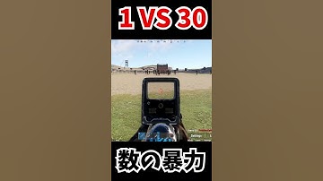 1人で30人に喧嘩売った結果  #shorts 【RUST】