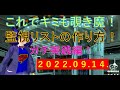 第84回 監視リストの作り方！ガチ実践編！　2022/09/14