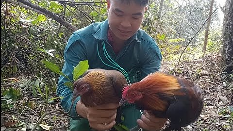 một buổi sáng thăm bẫy đầy may mắn