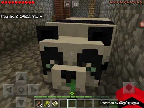 MY PANDA IS SICK🐼😣🤧🤒😢😭😢😭😢😭 - YouTube