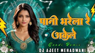 PANI BHARELA RE AKELE - GONDWANA NEW KARMA GEET - DJ AJEET MEHADWANI MANDLA REMIX TRENDING SONG DJ