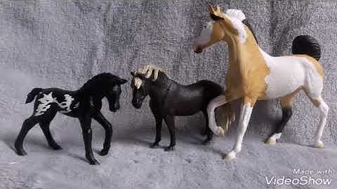 Mon évolution en custom