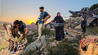 Wolves Near Amir Family's Highland Camp? | A Night of Concern in the Mountains 🐺