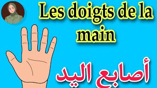 تعلم أسماء أصابع اليد بالفرنسية بطريقة سهلة مع النطق الصحيح/ Les doigts de la main ✋