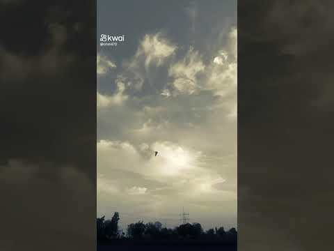 نسمات روحانيات رمضانيه للشيخ محمد الليثي رحمه الله عليه 