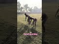 जिसका गुरु बलवान उसका चेला पहलवान 💪#wrestling #jiteshjocky #dangal #viral #kushti