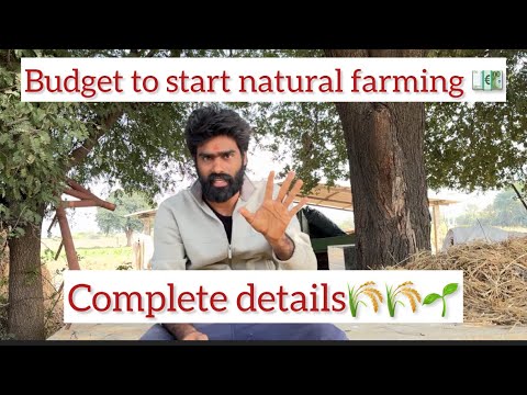 Complete budget to start Natural Farming Xplorewithshiva ✊🏻🌾🤌🏻