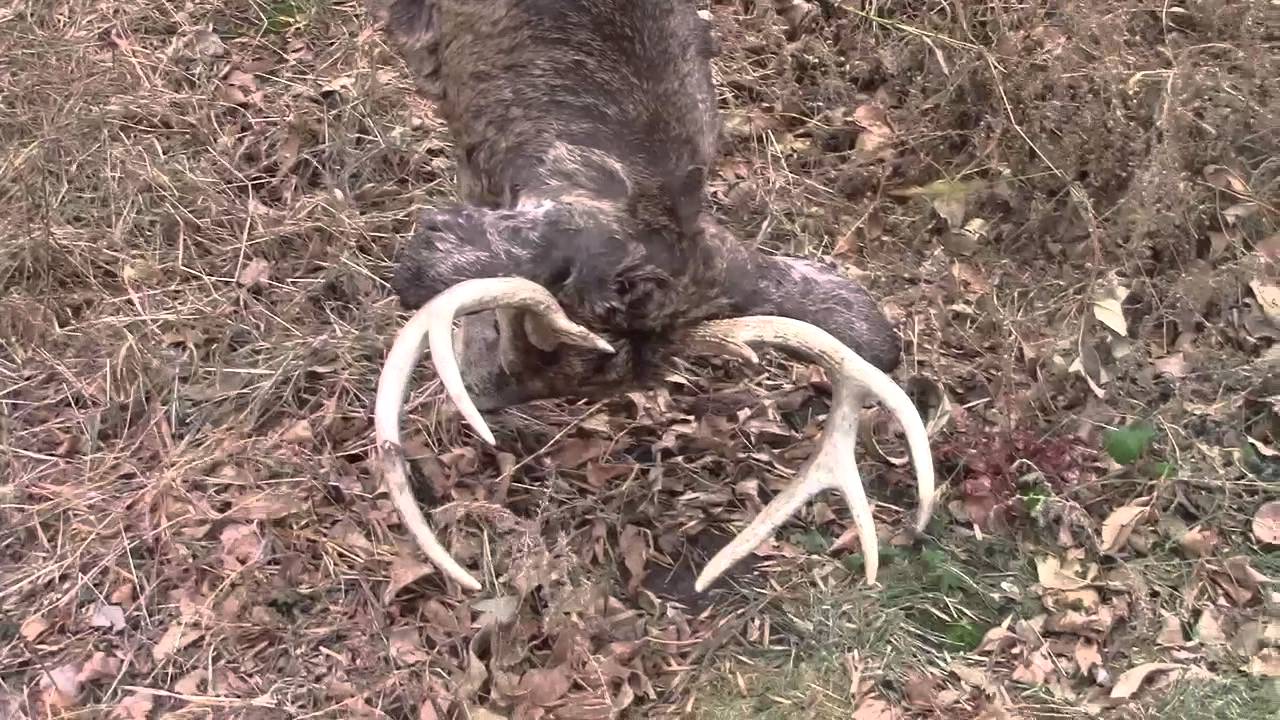 Nebraska Deer Season 201516 Tagged Out Last Day. YouTube