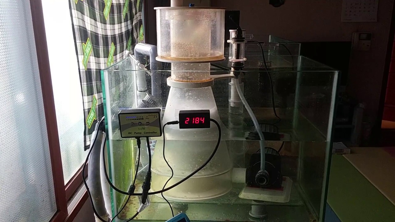 DIY needle wheel pump test