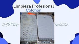 LIMPIEZA PROFESIONAL - Te ayudamos con la limpieza de Inyección/ Succión -LIMPIEZA de COLCHON IND.
