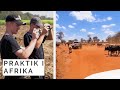 Lærlinge i Tanzania - Et afrikansk eventyr (1:4)