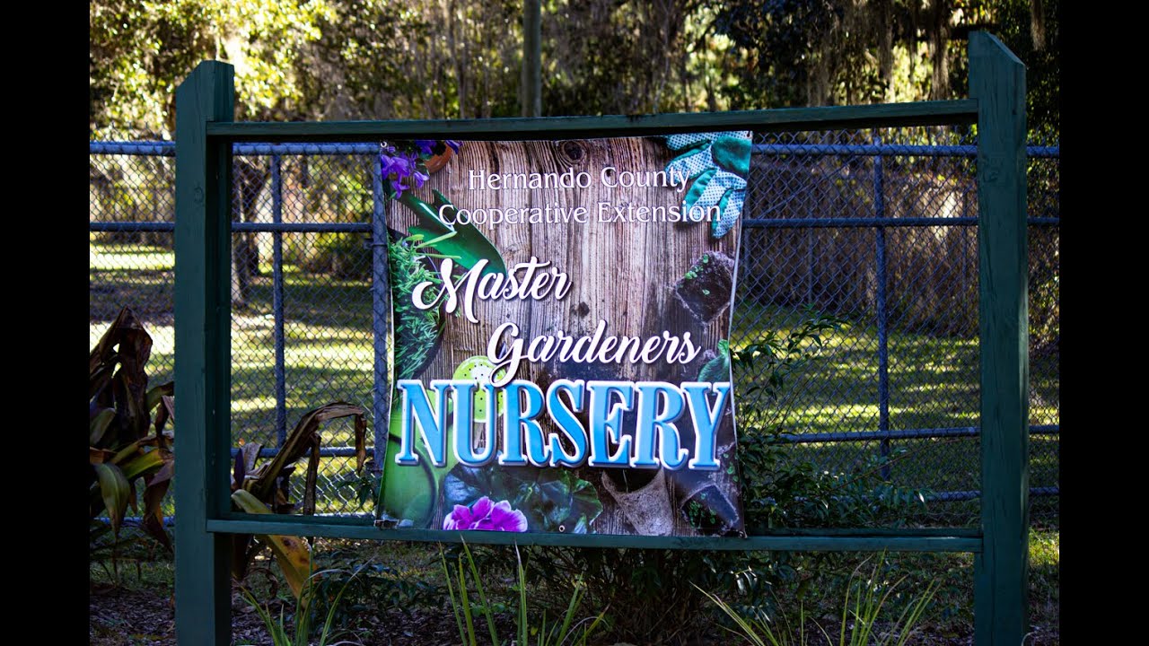 Master Gardner Nursery News update with Barb Hart YouTube