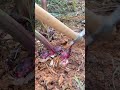 RT6868401mini rotary village and ridging all-in one tree video 🌿#shorts