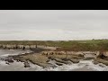 Thornwick Bay By North Landing, Bridlington Cinematic Travel Video, Drone Footage