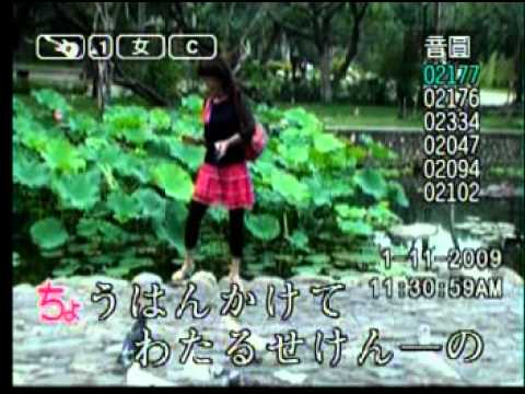 慧珊  難忘的人 日語  旅笠道中
