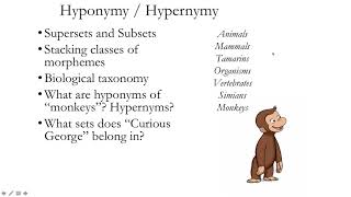 Lexical relations