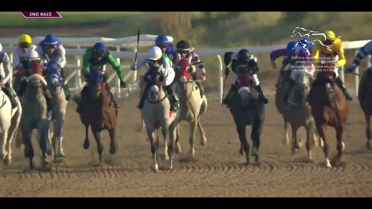WATHBA STALLIONS CUP - FOR PRIVATE OWNERS - AL AIN RACECOURSE | 23/12/2023