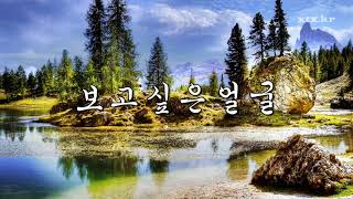 그리운 옛가요 세월따라 노래따라 대사와 노래 3집