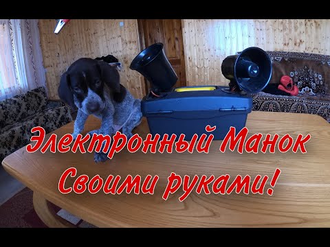 Электронный манок на перепела своими руками видео