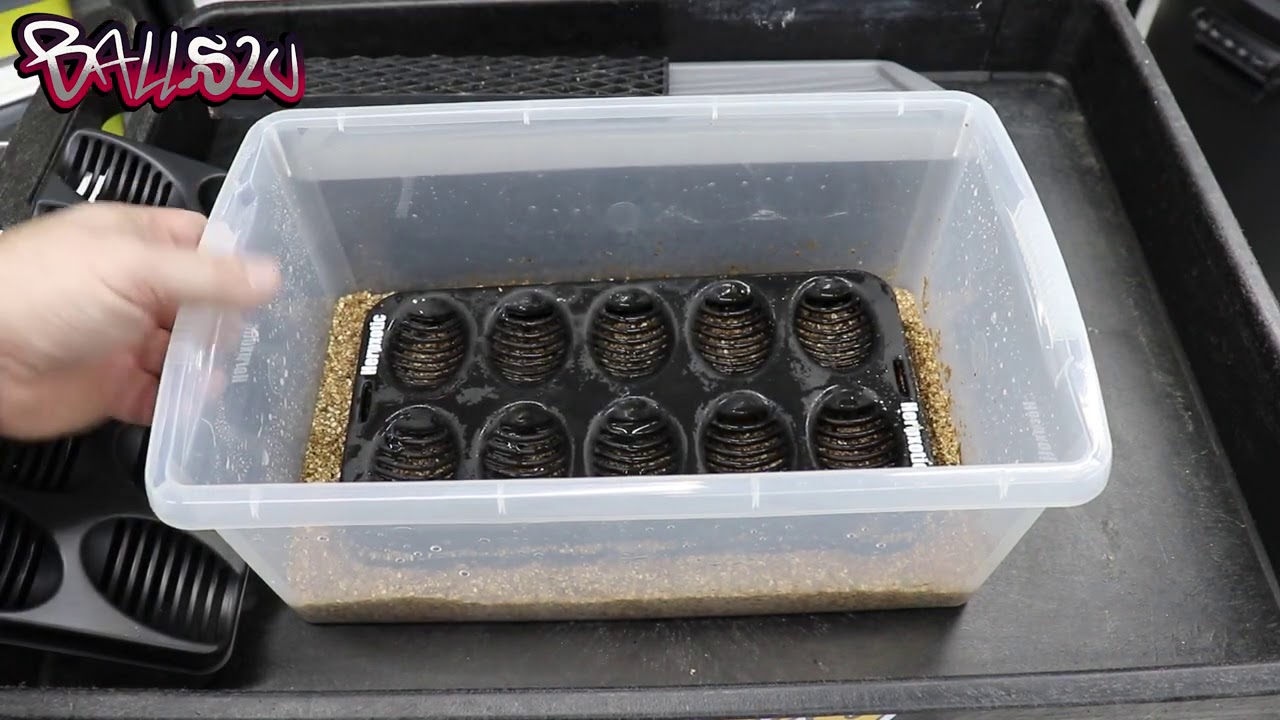 How to setup a Egg box