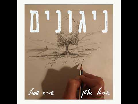 אביאל סולטן שירה שוורץ נגונים Cover 