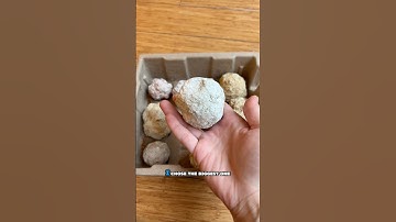 Cracking 10 geodes open to see what lives inside!