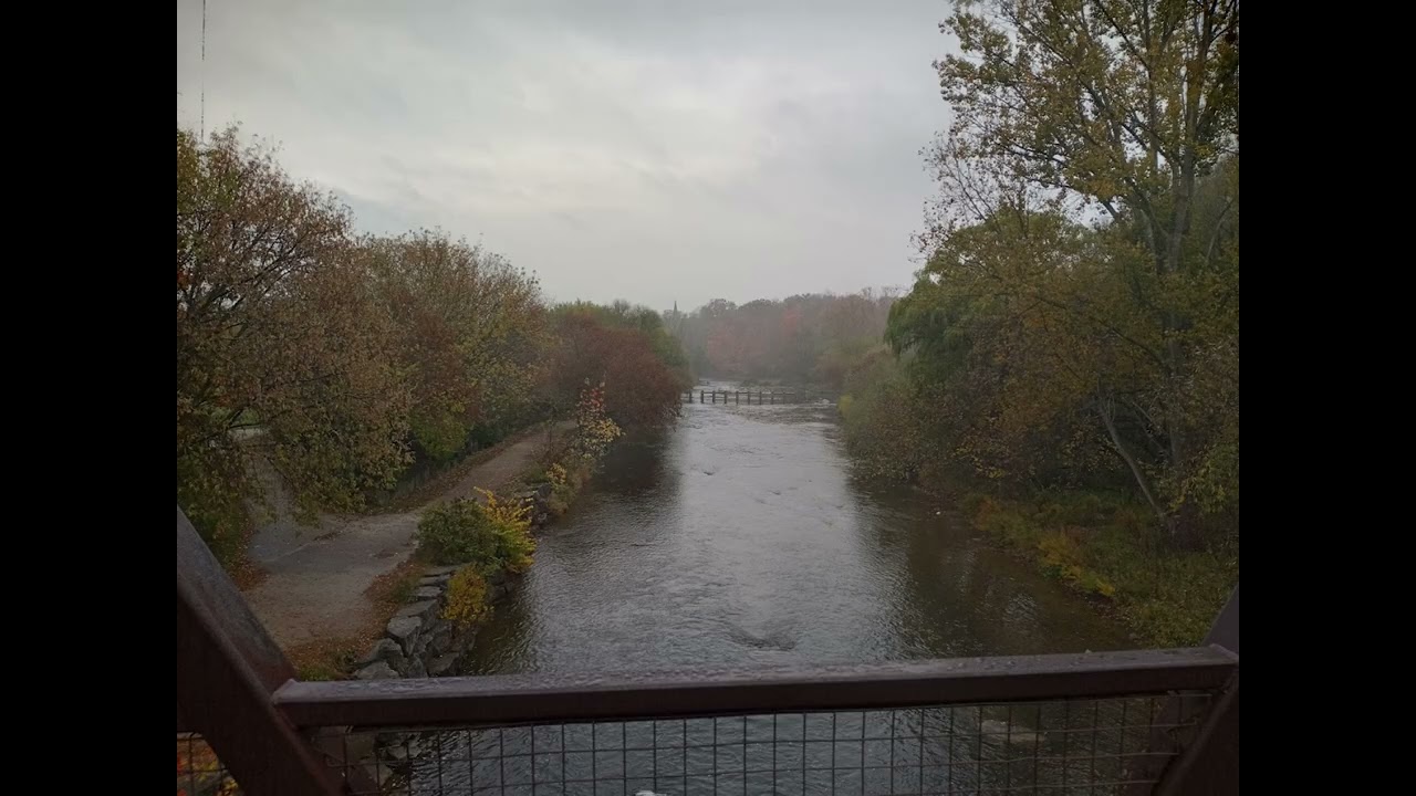 Subtle Charm of an Overcast Day