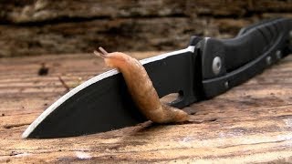 Most Oddly Satisfying Video Life Is Awesome Compilation Satisfying Video People Are Amazing 2017