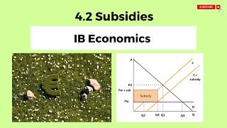 4.2 - Subsidies - Trade Protection - IB Economics