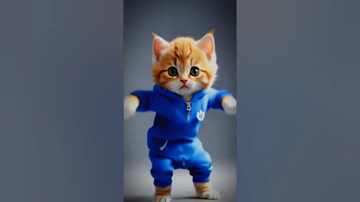 Watch the video about Cute cat video #shorts #short #cute #cat #dance #beautiful #love #bhojpuri #hindisong #funny #love
