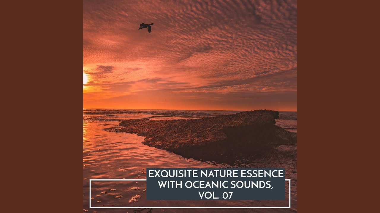 Tickling Waves New York