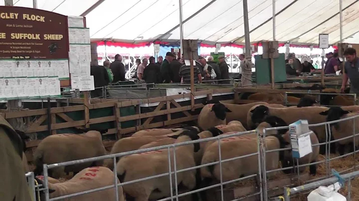 Kelso Ram Sales 2011.m2ts
