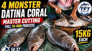 15KG Datina Coral Giant Fish Cutting | 4 Monster Fish | Full 14-Min Process