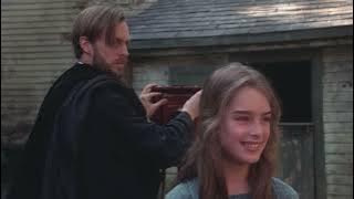 Pretty Baby 1978 / Mr.Kitty - After Dark