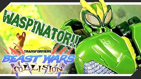 Waspinator Terrorize!!- Transformers Beast Wars Collision