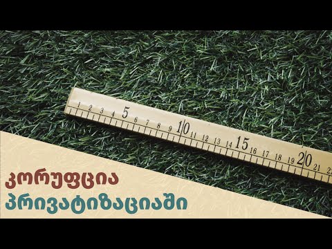 კორუფცია პრივატიზაციაში