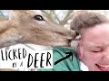 I Got Licked By A Deer