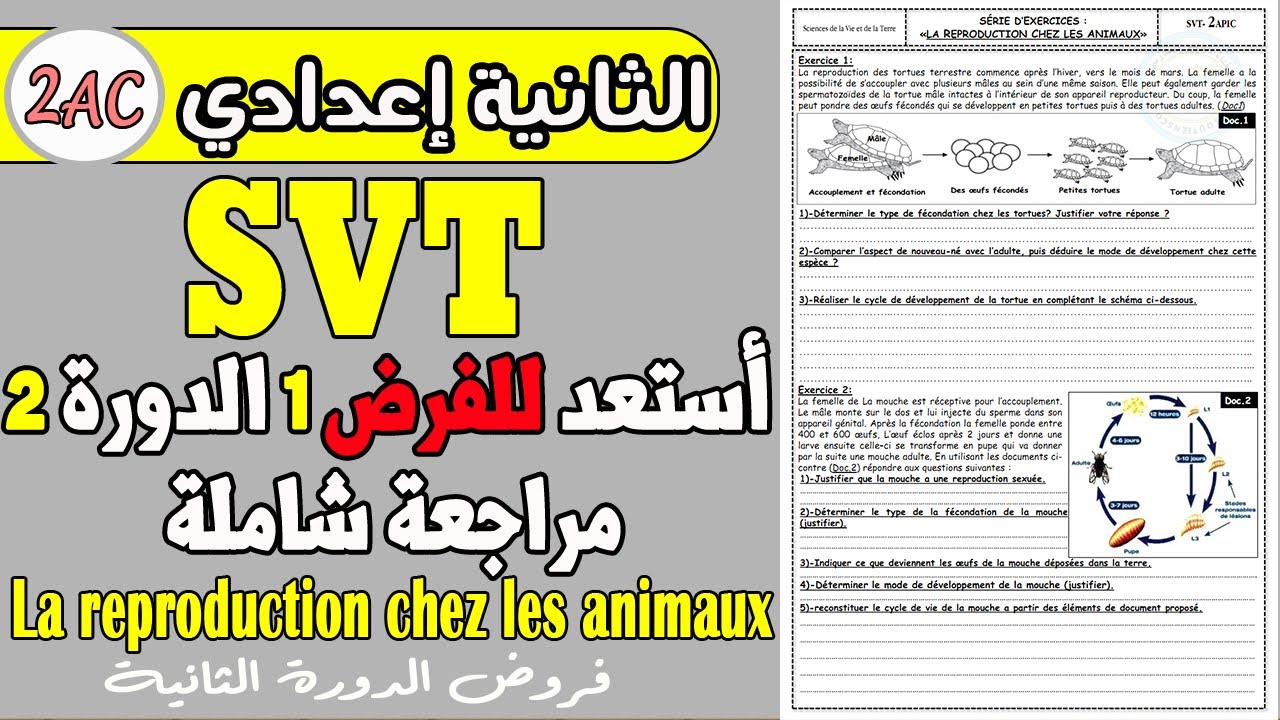 exercices la reproduction sexuée chez les animaux 2 année collège | SVT 2 année collège
