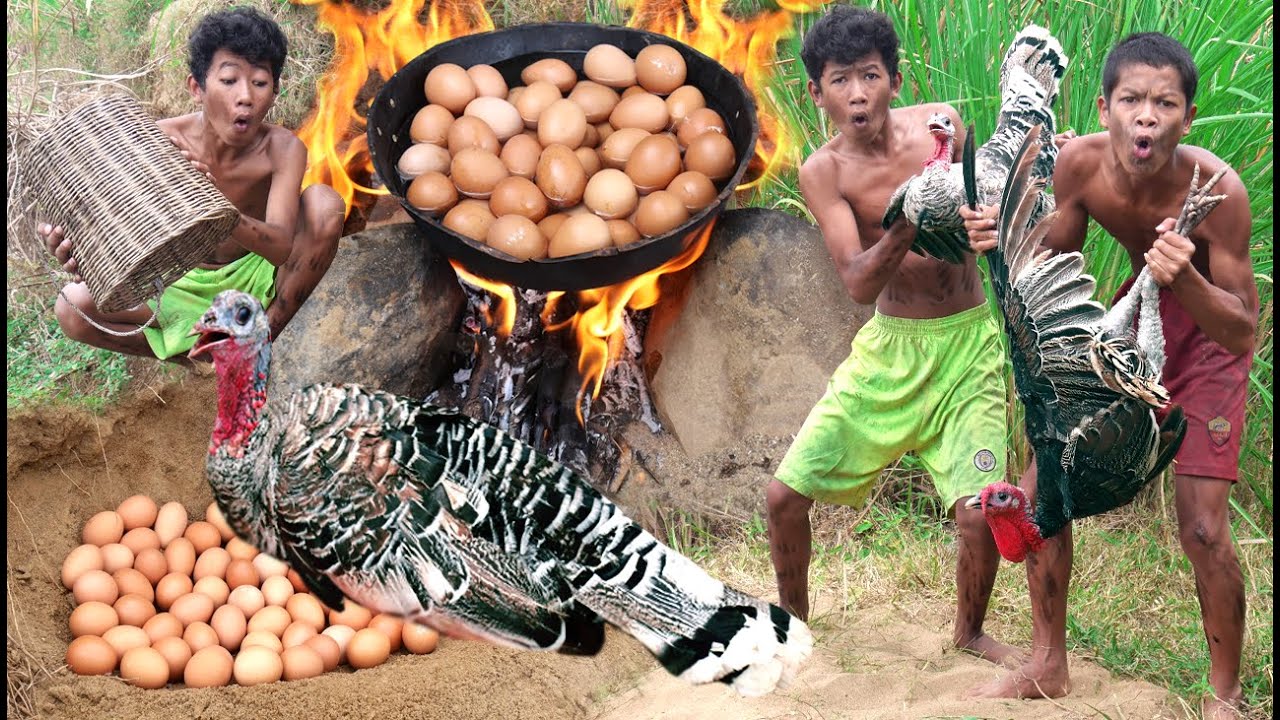 Survival Skills - Egg Turkey & Cook At Jungle