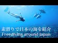 Freediving in Japan - Be free, with one breath! 素潜り/シュノーケリング/スキンダイビング/フリーダイビング