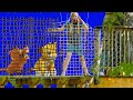 Lion King Jungle TreeHouse Hide N Seek with Simba and the Assistant
