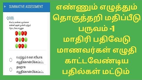எஎ  தொகுத்தறி மதிப்பீடு மாதிரி பதிவேடு ( மாணவர்கள் எழுத வேண்டிய பதில்கள்)2023-2024.