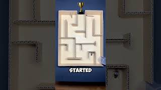 Who Is Smarter A Centipede Or An Ant