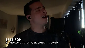 Ariana Grande - Raindrops (an angel cried) - Male Cover