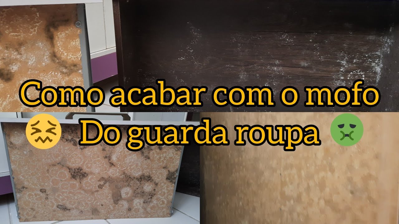 Como Acabar com o Mofo do Guarda Roupa 🤮🤢 - YouTube
