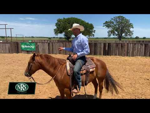 Softening, Steering, and Stopping Your Horse with Ben Baldus