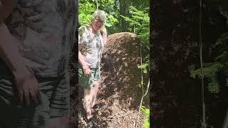 Giant Anthill in Canada.