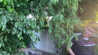 IMG 7777