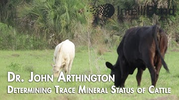 Determining Trace Mineral Status of Cattle