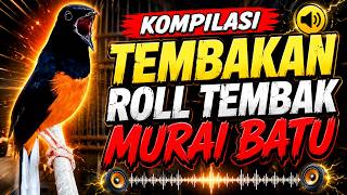 ROLL TEMBAK ISIAN MURAI BATU PALING DILIRIK JURI LOMBA Full Variasi Isian Kasar Mewah Auto Gacor